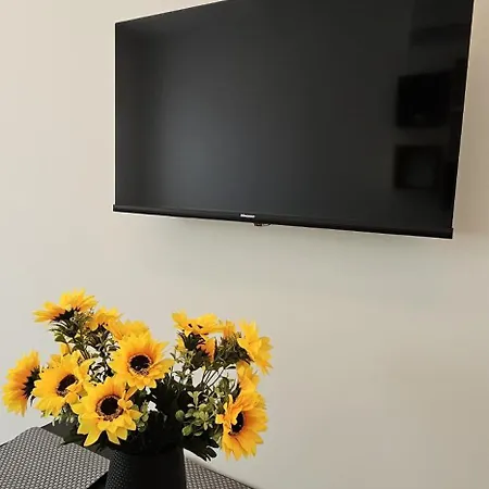 Golden Moon Apartment *